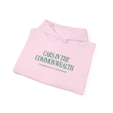 CITC Official Hoodie