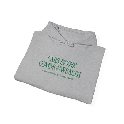CITC Official Hoodie